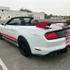 White & Red Mustang 12