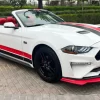 White & Red Mustang 13