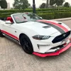 White & Red Mustang 14