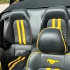 Black & yellow Mustang 10