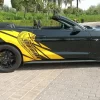 Black & yellow Mustang 12