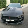 Black Mustang 10