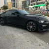 Black Mustang 7