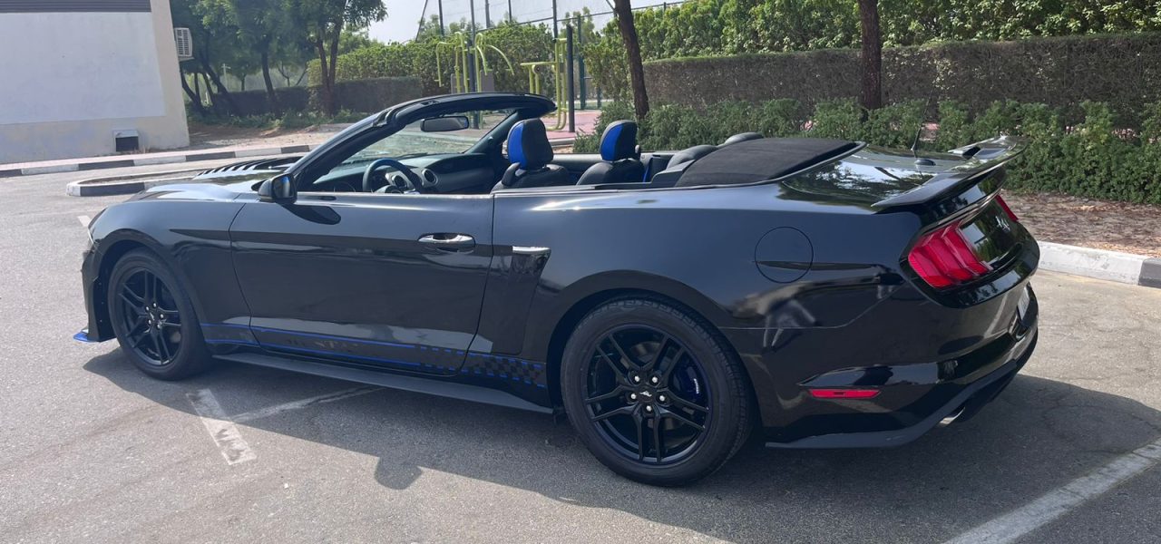 Blue Mustang 4