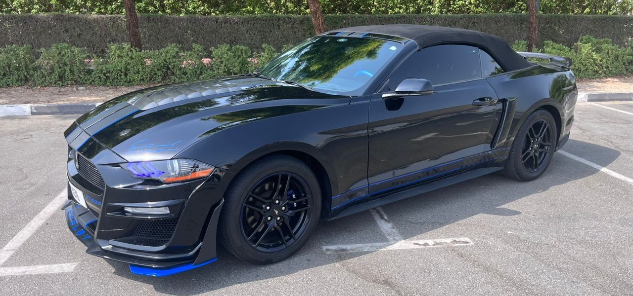 Blue Mustang 6