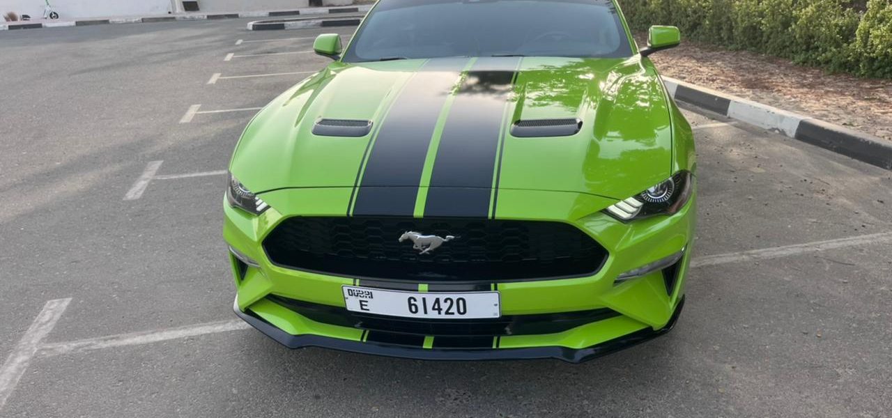 Green and Black Mustang 61420 5
